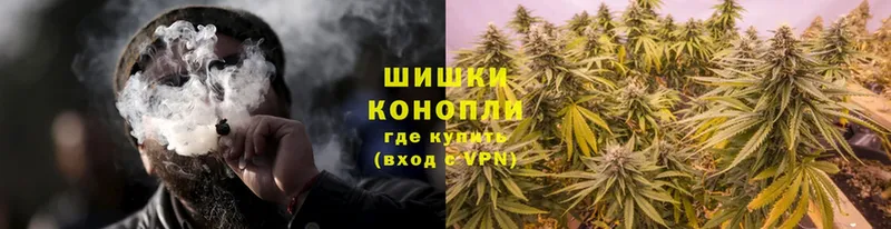 Марихуана White Widow  блэк спрут ссылки  Короча 